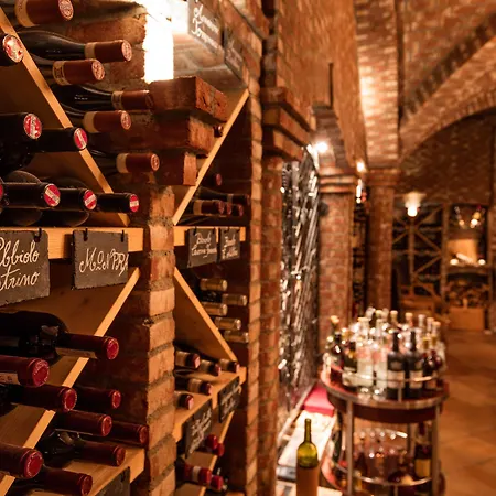 酒店 亚历克斯采尔马特度假酒店 4*