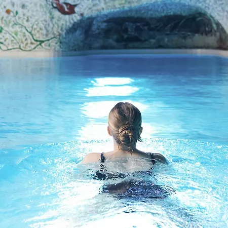 亚历克斯采尔马特度假酒店 4* 采尔马特