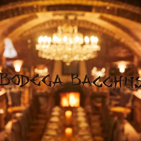 亚历克斯采尔马特度假酒店 4* 采尔马特