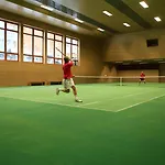 Alex Alpine - & Sports
